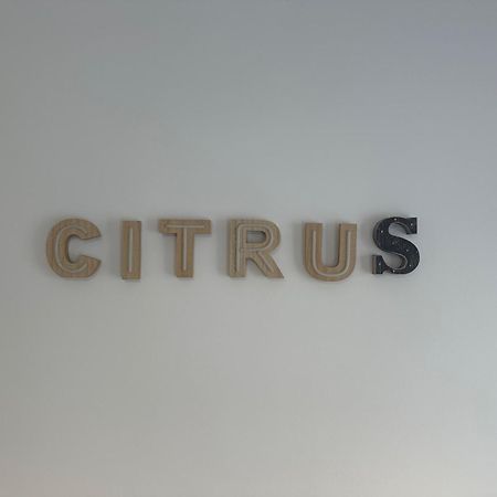 Citrus Suite by Alhaurín Loft City Center Alhaurín de la Torre Exterior foto